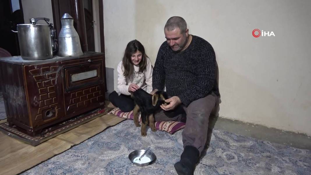 Görenler gözlerine inanamıyor: Tam 3 adet...! Görmek için civar köylerden geliyorlar 8